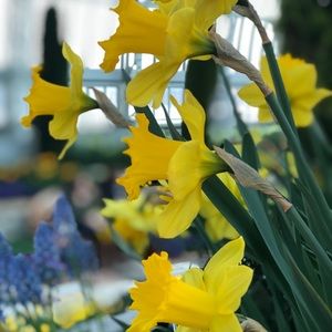 Meet your Posher, Annalise